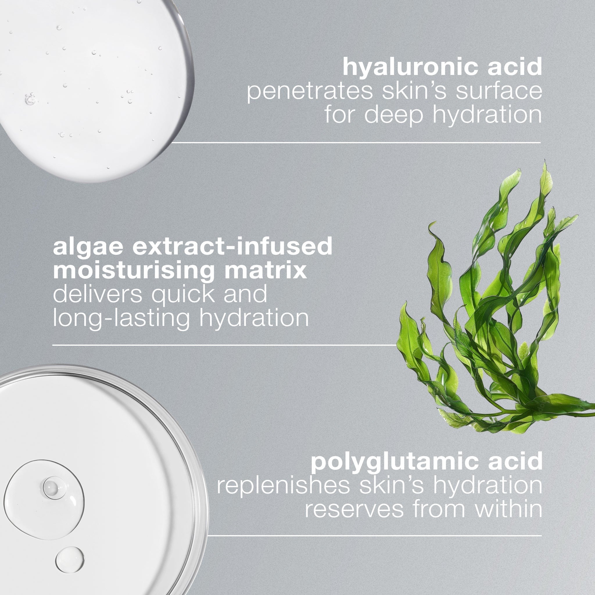 Circular Hydration Serum With Hyaluronic Acid